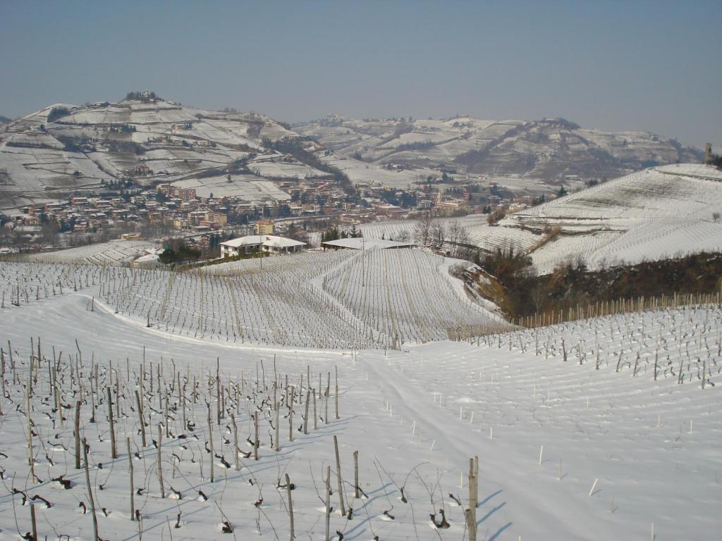 Agriturismo Ai Piacentini Santo Stefano Belbo Ngoại thất bức ảnh